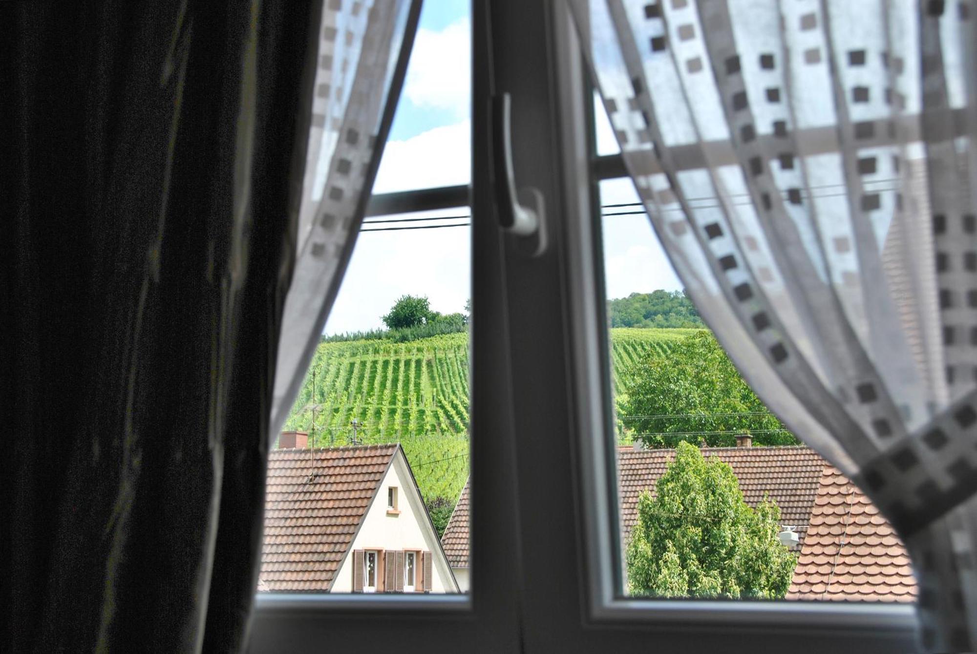 Landgasthof Rebstock Weil Am Rhein / Basel Ngoại thất bức ảnh